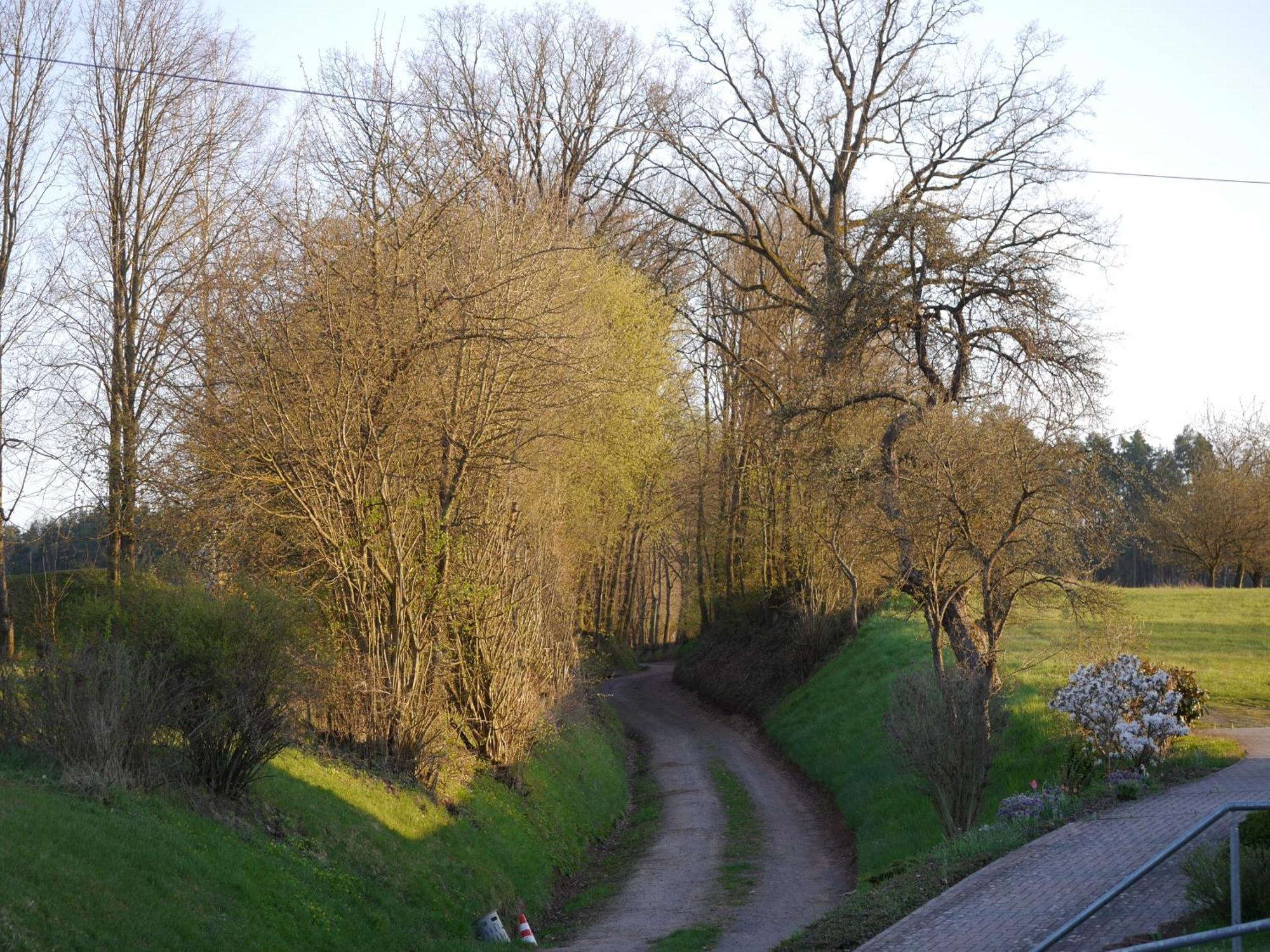 Дом отдыха Ulbrich Langenstadt Neudrossenfeld