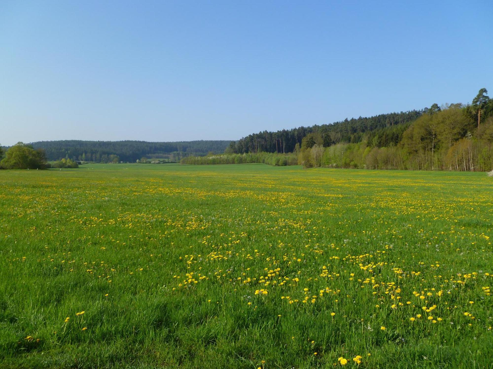 Ulbrich Langenstadt Дом отдыха *