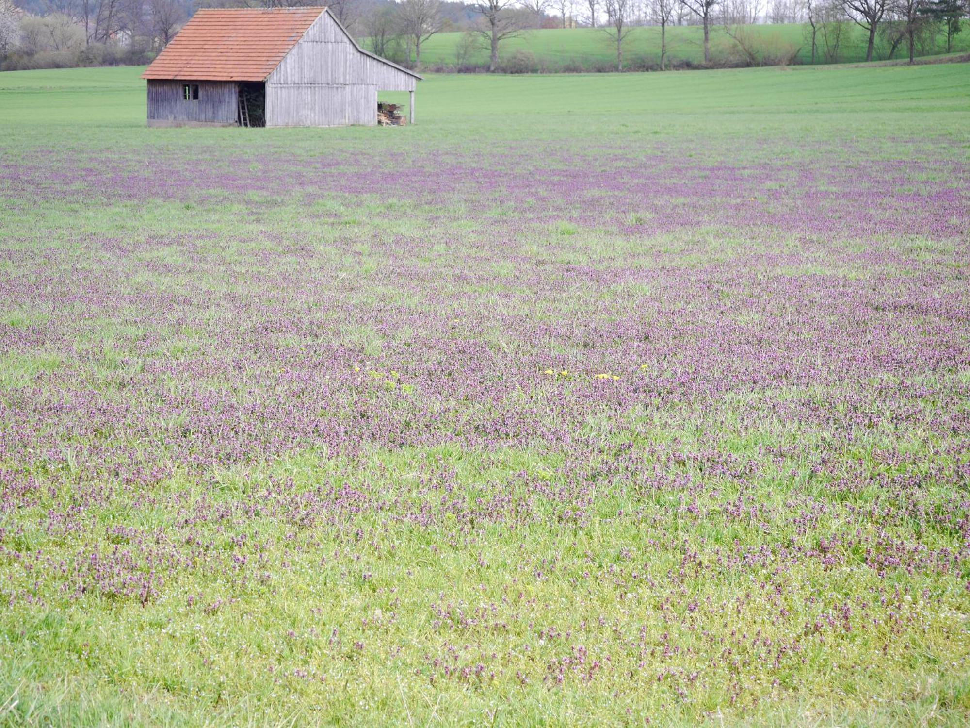 Сasa de vacaciones Ulbrich Langenstadt *